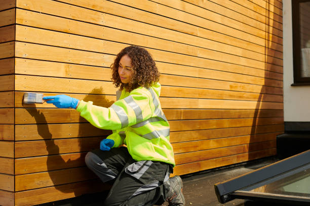 Affordable Siding Repair and Maintenance Services in Longmont, CO